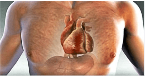 Protecting Your Heart: Key Signs to Watch Out For