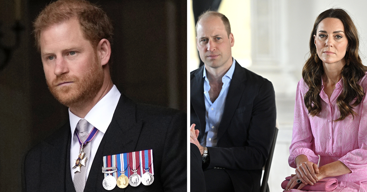 Prince William’s Response to Prince Harry: Not as Warm or Informal as Expected, Claims Expert