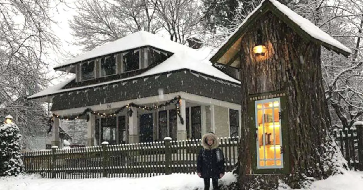 Woman Turns a 110-Year-Old Dead Tree into a Magical Free Library