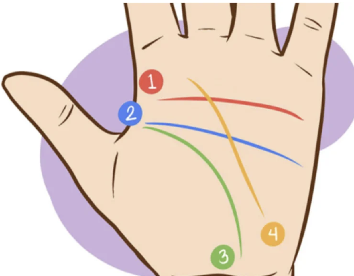 Explore the World of Palmistry: Uncover the Meaning of the M on Your Palm