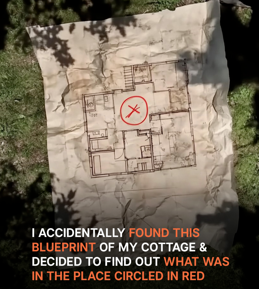 Woman Accidentally Finds Blueprint of Her Cottage, Then Notices Its Center Circled in Red — Story of the Day