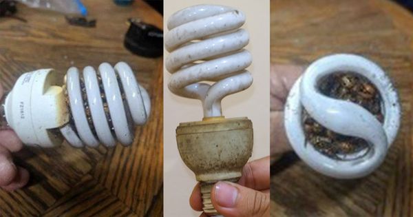 Must-read: Man’s warning about spiral bulb fire danger