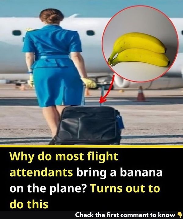 The Secret Behind Flight Attendants and Bananas